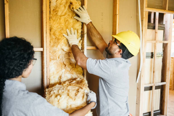 Garage Insulation Installation in Hiawatha, KS